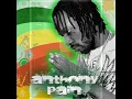 MAVADO FT 2PAC - THE MESSIAH (ANTHONY PAIN REMIXXX)