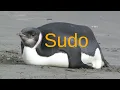 Download Lagu Sudo is a Bloated Insecure Mess (install doas)
