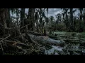 This Why You Should Never Visit Lake Martin Louisiana