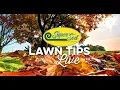 November Lawn Tips Live from Super-Sod of Alpharetta GA - Lawn Care Advice for the Southeast