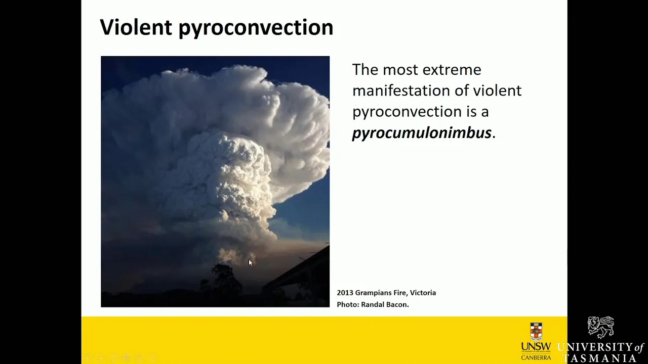 Linking local wildfire dynamics to pyroCb formation — Prof. Jason Sharples
