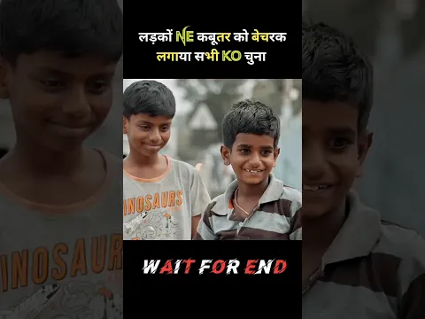 लड़कों ने कबूतर को बेचरक लगाया सभी को चुना! #shorts