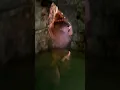 Stark caverns tour part 1 Missouri