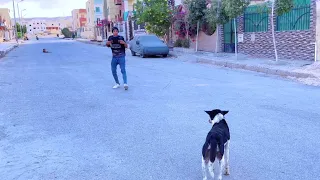 لما اخوك الصغير يتوه وهو راجع من المدرسه علاء حسين 