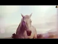Sondae | Sun Rises (Slowed)