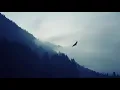 432 Hz - The Cinematic Orchestra - Arrival of The Birds (HD)