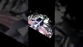 حلات وتس اب وفيق حبيب زيدي زيدي بدلالك 