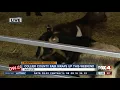 Last chance to catch the Collier County Fair this weekend - 7am live report