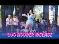 Download Lagu JULIA INDRI - OJO NGUBER WELASE | LIVE ONE PRO FT SQUAD SUMBERJO X MP AUDIO