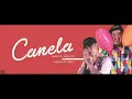 Canela (AUDIO 8D) - Nanpa Básico Ft. Charles Ans
