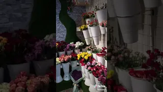 عايش حالة حب معاك من ثاني احلى حب معاك يا حبيبي يا احلى واجمل وارق حبيب اليسا 