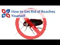 Roach Treatment - How to Get Rid of Roaches Yourself DoMyOwn com