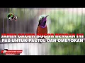 Download Lagu TERAPI KONIN AGAR CEPAT GACOR NEMBAK ! PASTOL KONIN BELAJAR NEMBAK FULL ISIAN