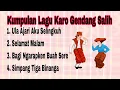 Download Lagu Lagu Karo Gendang Salih Patam - paling enak didengar 2025 diperjalanan