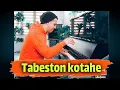 Zed bazi-Tabestoon kotahe piano cover(Hossein Bidgoli)