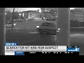 Search underway for vehicle in hit-and-run crash involving pedestrian in Gallatin