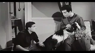 اخر شقاوة حسن يوسف محمد عوض معزة جدي حسن يوسف محمد عوض 