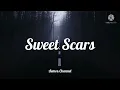 Lagu Sweet Scars -(Weird Genius) Lyrics
