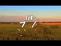 Dolly Parton - Here You Come Again (Lyrics)