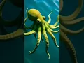 Green Octopus Octopus