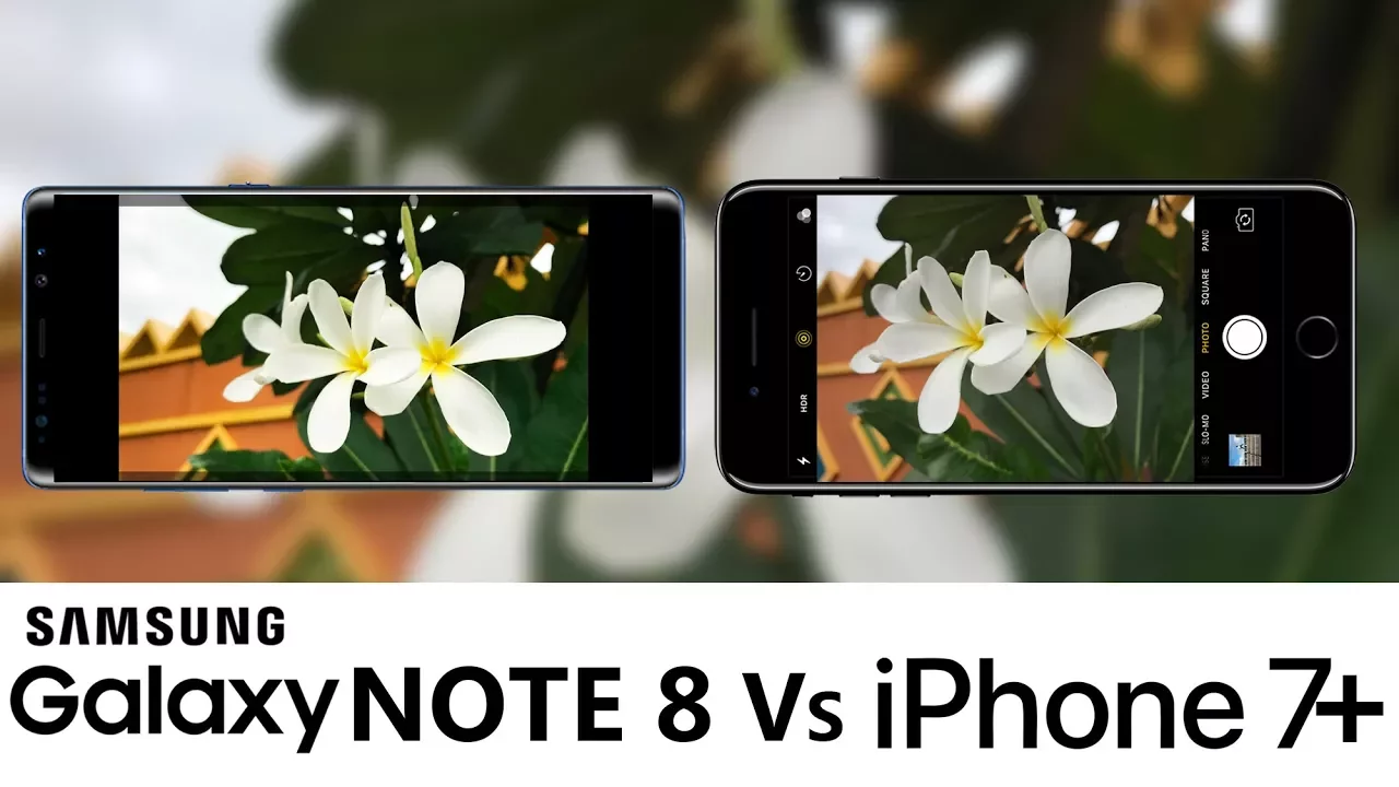 iPhone 8 Plus vs iPhone 11 Pro Max vs iPhone SE | Camera Test