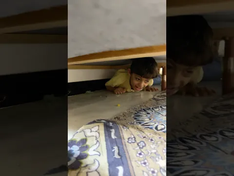 شرد البلبل 😹