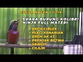 Download Lagu SUARA BURUNG KOLIBRI NINJA GACOR FULL MATERI NAGEN 1 TITIK // MASTERAN BURUNG DAN PANCINGAN KONIN