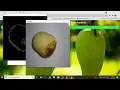 Size Properties of Mangoes using Image Analysis