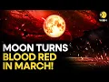 Blood Moon 2026 Why This Rare Total Lunar Eclipse Will Turn The Sky Red WION Originals