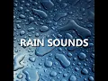 Windy Eventide Rain Sounds