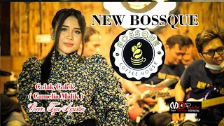 Download NEW BOSSQUE_colak colek( camelia malik)cover TYA AGUSTIN MP3