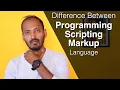What is Programming Scripting and Markup Language Difference of Programming Scripting and Markup
