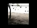 The Tallest Man on Earth - Bright Lanterns