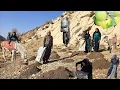 Lagu Preparing the future farm with sheep manure with Jahangir's efforts in the mountains: Nomadic life