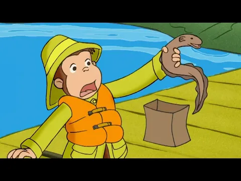 Download MP3 Curious George 🐵George and The One that Got Away 🐵 Kids Cartoon 🐵 Kids Movies | Videos For Kids