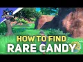 Rare Candy Location PocoPath Pokemon Scarlet and Violet