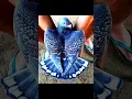 Download Lagu pigeon photos kabutar lover #kabutar #pigeon #pigeonphoto