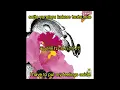 Unicorn - Maybe Blue [EN + JP + Romaji Lyrics]