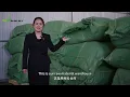 From Raw Herb to Export-Grade Extract Kennture Bio Factory Walkthrough