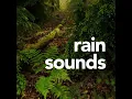 Rain For Sleep Sound