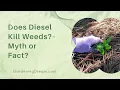 Does Diesel Kill Weeds - Myth or Fact