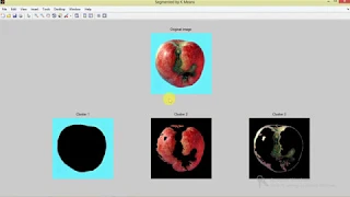 Fruit Disease Detection and Classification Using Image Processing Matlab Project Code