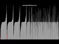 Sorting Algorithms With Shuffled Quintic Part 3