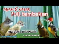 Download Lagu Masteran Sadis Untuk Murai batu, Cucak ijo Dan Jenis Burung Lainnya - Spesialis Tembakan Kasar