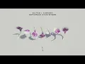 Sultan + Shepard - September Everywhere
