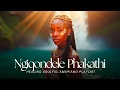 Download Lagu Ngiqondele Phakathi - Healing Soulful Amapiano Mix Playlist - Music For Hearts Carrying Silent Pain.
