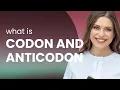 Understanding the Language of DNA Codons and Anticodons