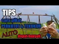 Download Lagu cara mudah memikat burung perkutut dan tekukur dengan lidi kelapa