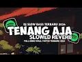 Download Lagu DJ TENANG AJA X TANTE CULIK AKU DONG REMIX FULL BASS 2024 ( SLOWED REVERB )