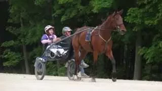 The Heart Of Harness Racing
